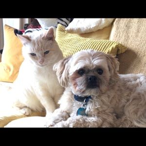 Meet your Posher, Carol